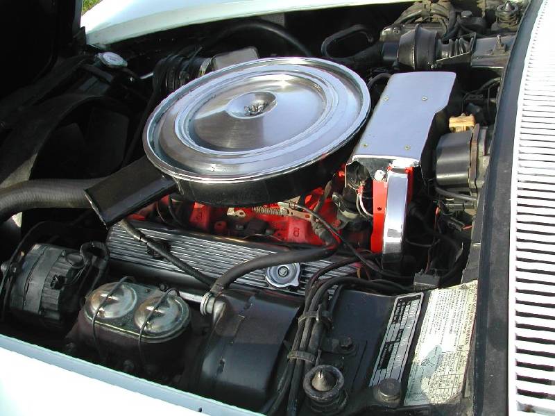 MARTINSRANCH 72 Stingray white red (2) 